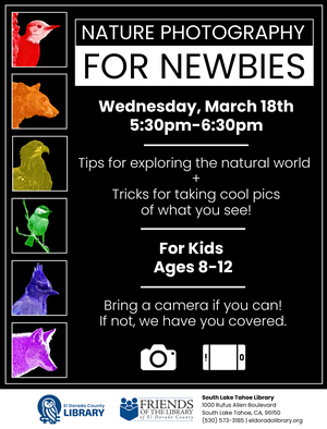 SLT - Nature Photogr